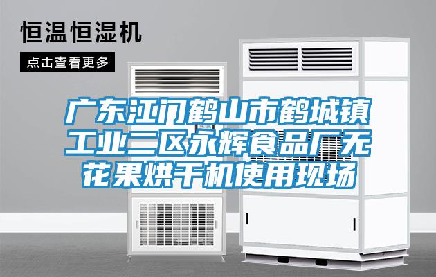 廣東江門(mén)鶴山市鶴城鎮(zhèn)工業(yè)二區(qū)永輝食品廠無(wú)花果烘干機(jī)使用現(xiàn)場(chǎng)