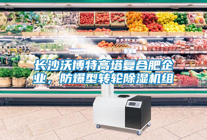 長沙沃博特高塔復合肥企業(yè)，防爆型轉輪除濕機組