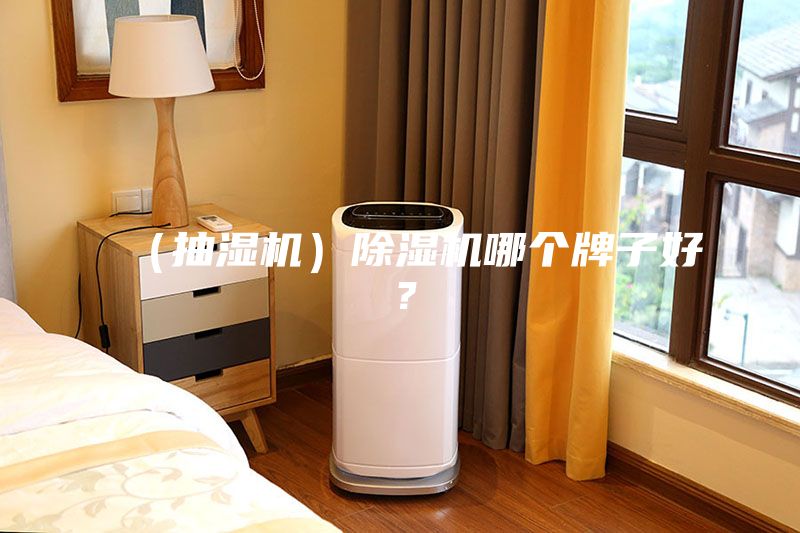 （抽濕機(jī)）除濕機(jī)哪個(gè)牌子好？