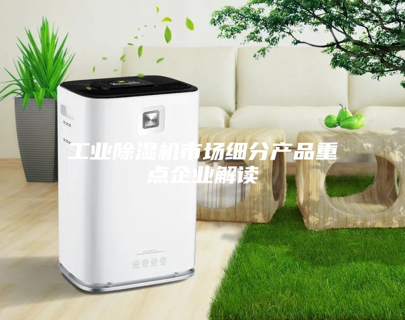 工業(yè)除濕機(jī)市場細(xì)分產(chǎn)品重點(diǎn)企業(yè)解讀