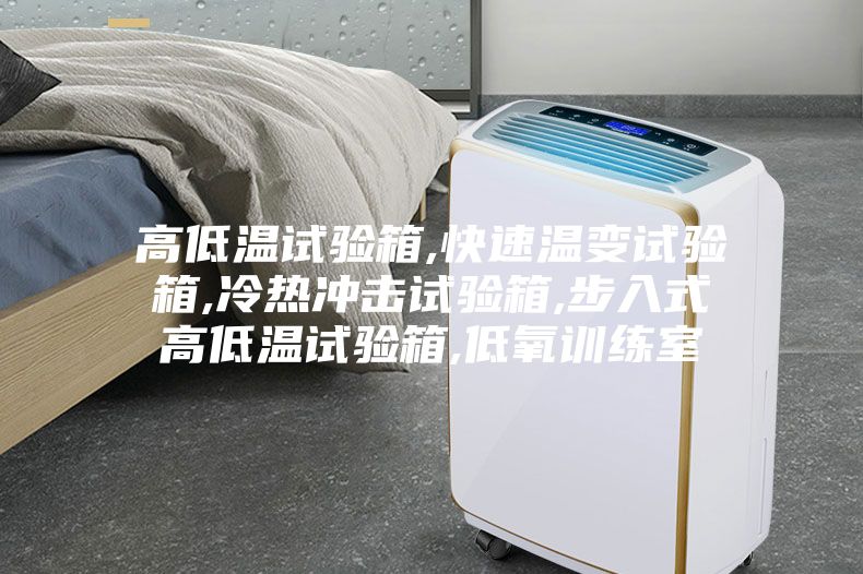 高低溫試驗(yàn)箱,快速溫變?cè)囼?yàn)箱,冷熱沖擊試驗(yàn)箱,步入式高低溫試驗(yàn)箱,低氧訓(xùn)練室