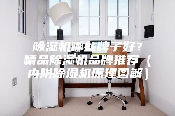 除濕機哪些牌子好？精品除濕機品牌推薦（內(nèi)附除濕機原理圖解）