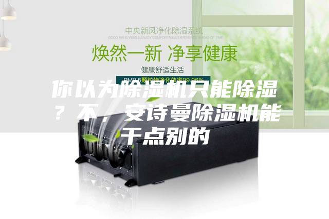 你以為除濕機(jī)只能除濕？不，安詩(shī)曼除濕機(jī)能干點(diǎn)別的