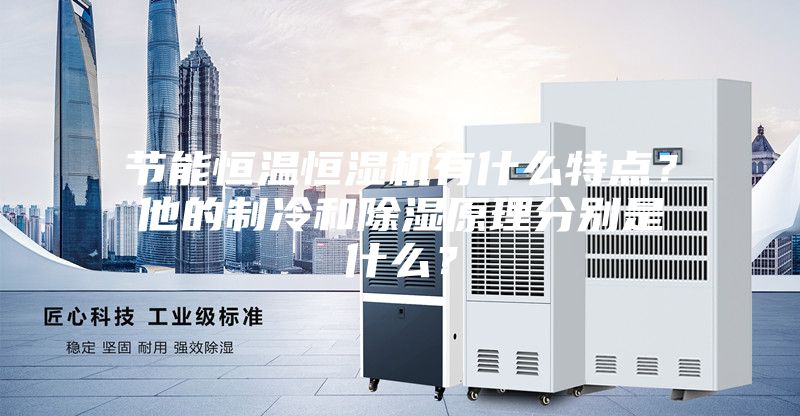 節(jié)能恒溫恒濕機(jī)有什么特點(diǎn)？他的制冷和除濕原理分別是什么？