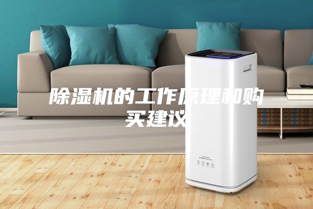 除濕機(jī)的工作原理和購(gòu)買建議