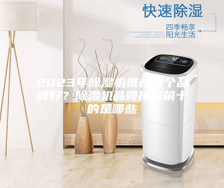 2023年除濕機(jī)推薦哪個品牌好？除濕機(jī)品牌排名前十的是哪些