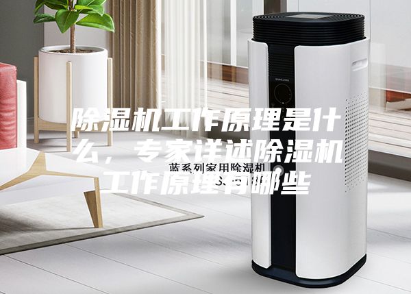 除濕機(jī)工作原理是什么，專家詳述除濕機(jī)工作原理有哪些