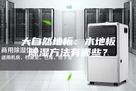 大自然地板：木地板除濕方法有哪些？