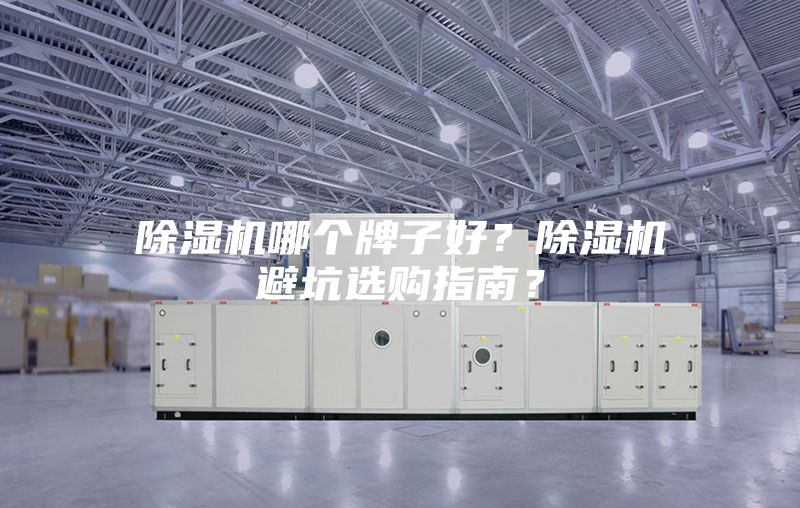 除濕機(jī)哪個(gè)牌子好？除濕機(jī)避坑選購(gòu)指南？