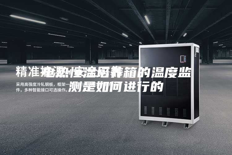 電熱恒溫培養(yǎng)箱的溫度監(jiān)測是如何進(jìn)行的