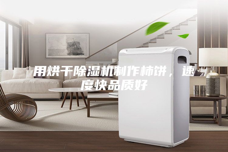 用烘干除濕機制作柿餅，速度快品質(zhì)好
