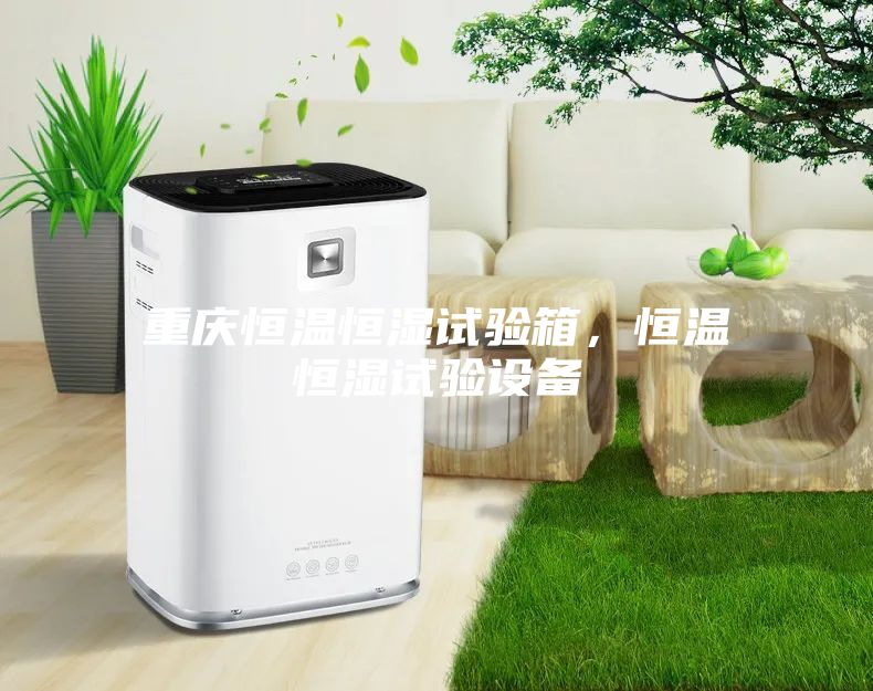 重慶恒溫恒濕試驗(yàn)箱，恒溫恒濕試驗(yàn)設(shè)備