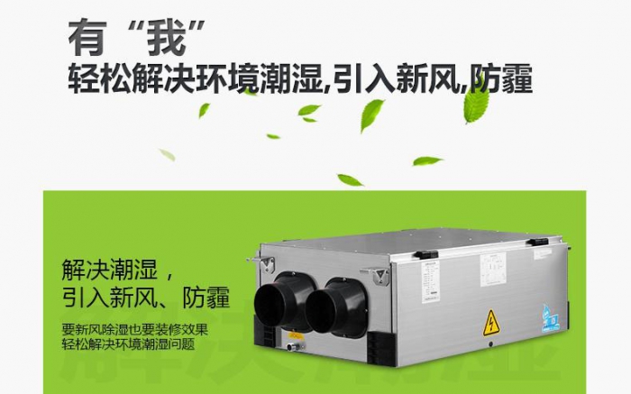 回南天貓毛都粘在一起，面對潮濕天氣，鏟屎官養(yǎng)貓需要注意什么