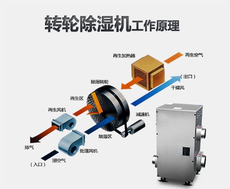 潮濕危害真不小，用除濕機真見效
