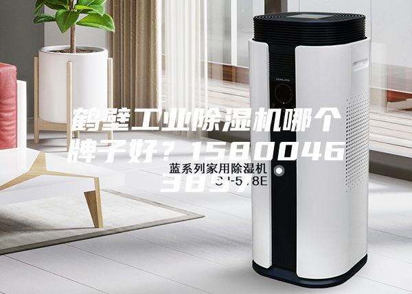 鶴壁工業(yè)除濕機(jī)哪個(gè)牌子好？15800463857