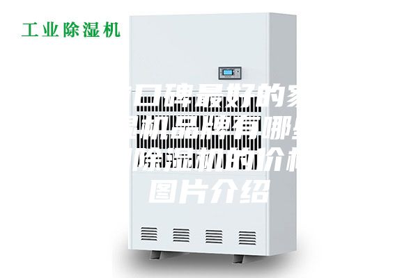 目前口碑最好的家用除濕機(jī)品牌有哪些？家用除濕機(jī)的價(jià)格和圖片介紹