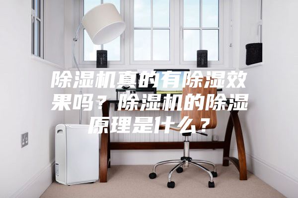 除濕機(jī)真的有除濕效果嗎？除濕機(jī)的除濕原理是什么？