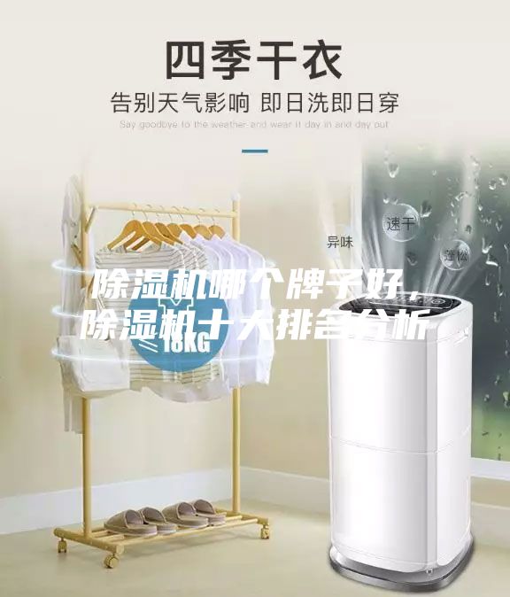 除濕機(jī)哪個(gè)牌子好，除濕機(jī)十大排名分析