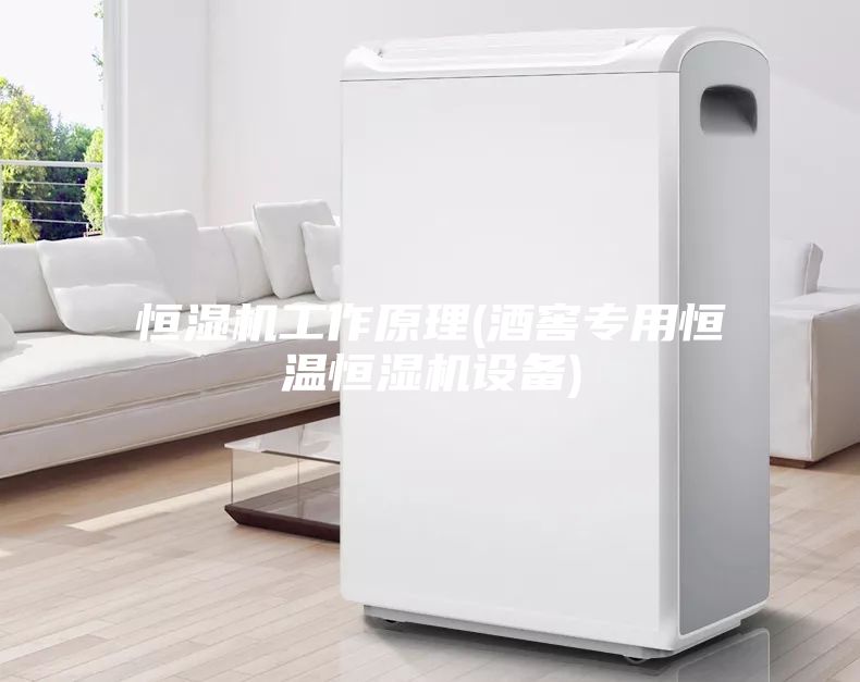 恒濕機(jī)工作原理(酒窖專(zhuān)用恒溫恒濕機(jī)設(shè)備)