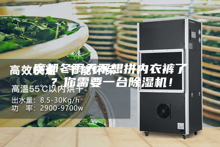 魔都冬雨天不想拼內(nèi)衣褲了？你需要一臺(tái)除濕機(jī)！