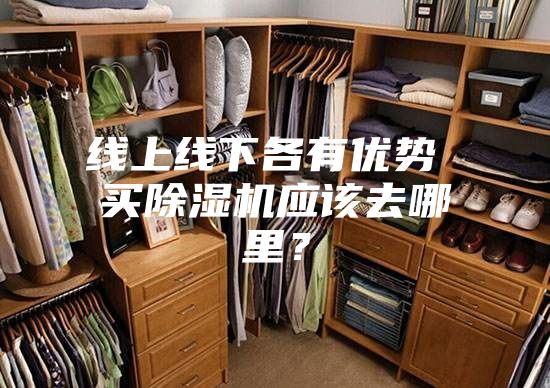 線上線下各有優(yōu)勢(shì) 買除濕機(jī)應(yīng)該去哪里？