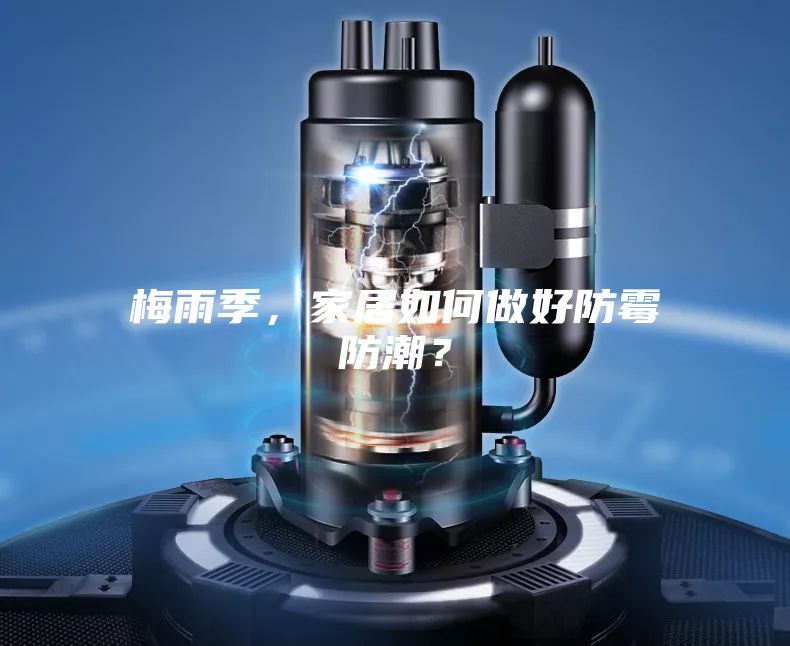 梅雨季，家居如何做好防霉防潮？