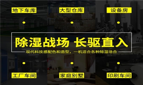 秋冬防濕冷，家里怎么除濕最好？