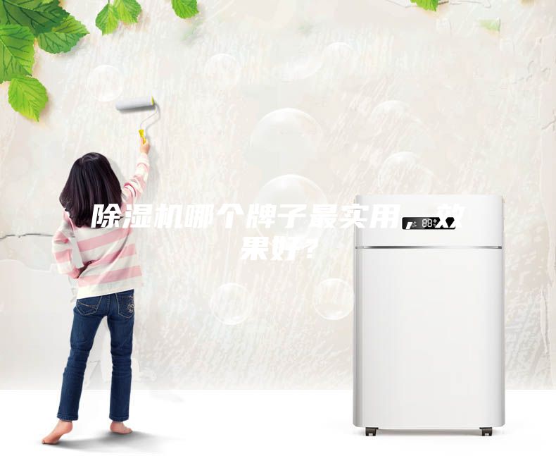 除濕機哪個牌子最實用，效果好？