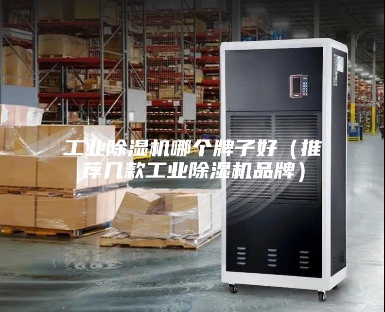 工業(yè)除濕機(jī)哪個牌子好（推薦幾款工業(yè)除濕機(jī)品牌）
