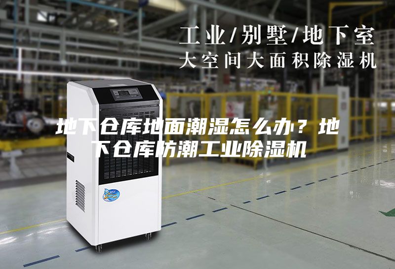 地下倉(cāng)庫(kù)地面潮濕怎么辦？地下倉(cāng)庫(kù)防潮工業(yè)除濕機(jī)