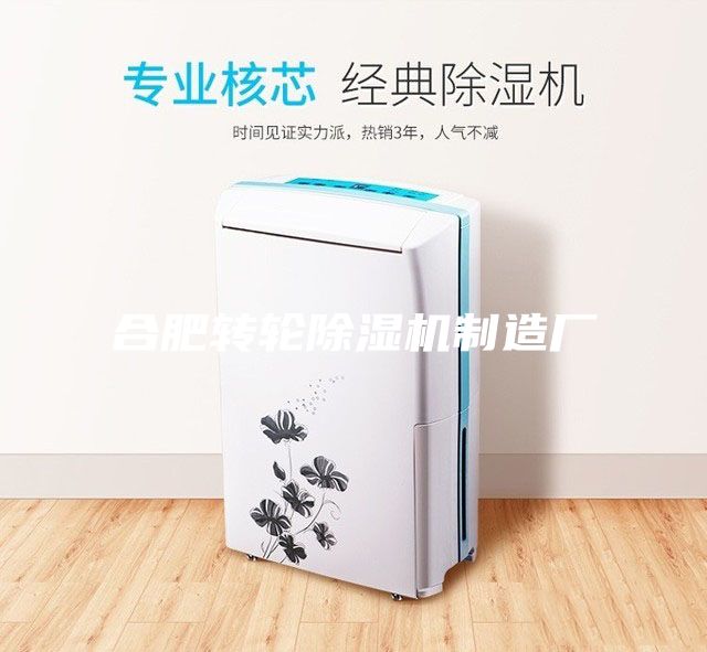 合肥轉(zhuǎn)輪除濕機(jī)制造廠(chǎng)