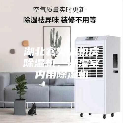 湖北襄樊油機(jī)房除濕機(jī)，潮濕室內(nèi)用除濕機(jī)