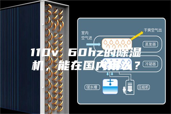 110v 60hz的除濕機(jī)，能在國(guó)內(nèi)用么？