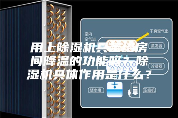 用上除濕機具備給房間降溫的功能嗎？除濕機具體作用是什么？