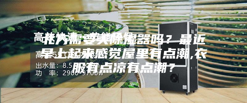 北方需要買除濕器嗎？最近早上起來感覺屋里有點潮,衣服有點涼有點潮？