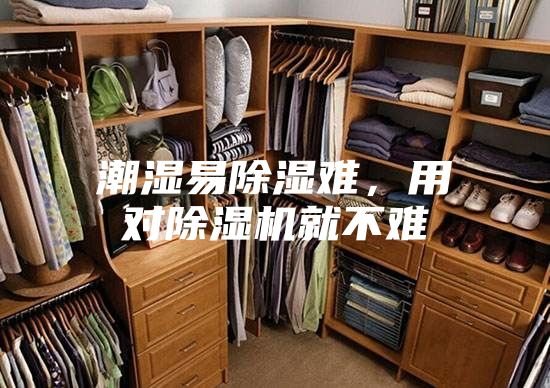 潮濕易除濕難，用對除濕機就不難