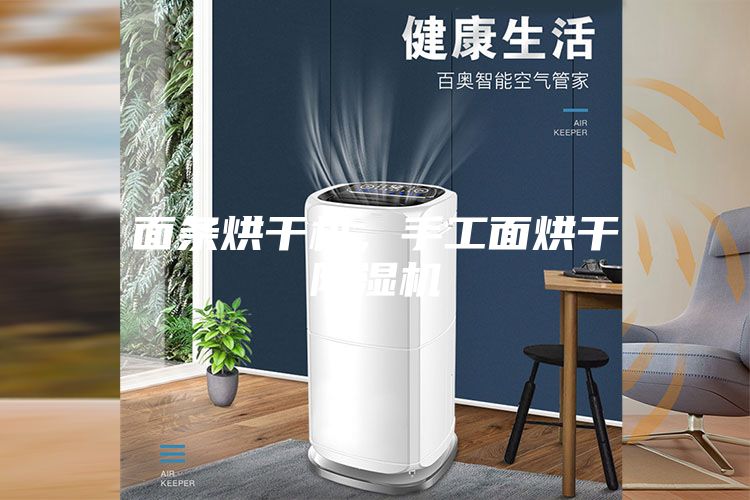 面條烘干機(jī)，手工面烘干除濕機(jī)