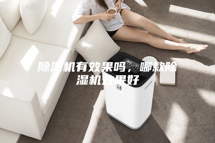 除濕機(jī)有效果嗎，哪款除濕機(jī)效果好