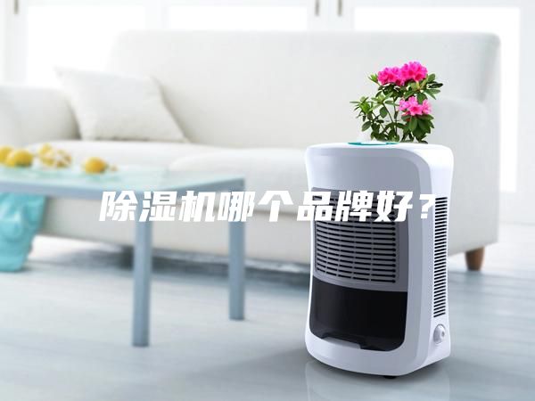除濕機(jī)哪個(gè)品牌好？