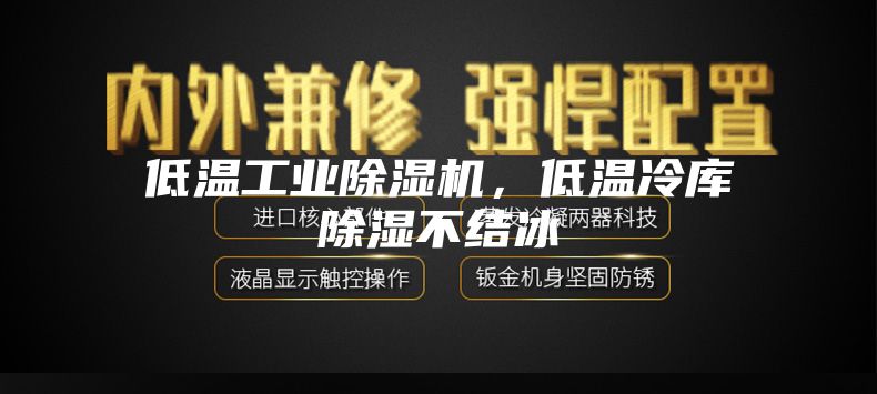 低溫工業(yè)除濕機，低溫冷庫除濕不結(jié)冰