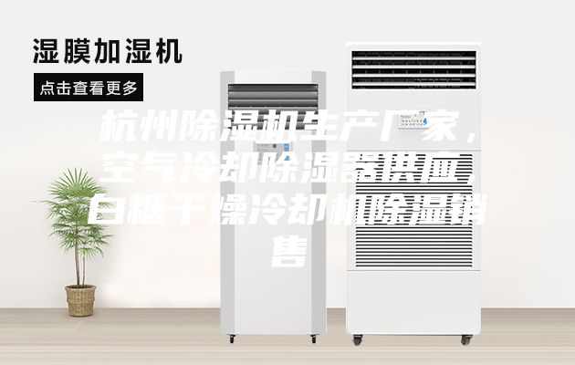 杭州除濕機(jī)生產(chǎn)廠家，空氣冷卻除濕器供應(yīng)，白糖干燥冷卻機(jī)除濕銷售