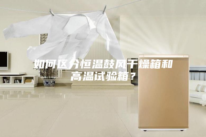 如何區(qū)分恒溫鼓風(fēng)干燥箱和高溫試驗(yàn)箱？
