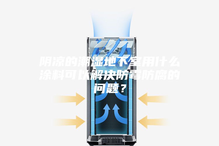 陰涼的潮濕地下室用什么涂料可以解決防霉防腐的問(wèn)題？