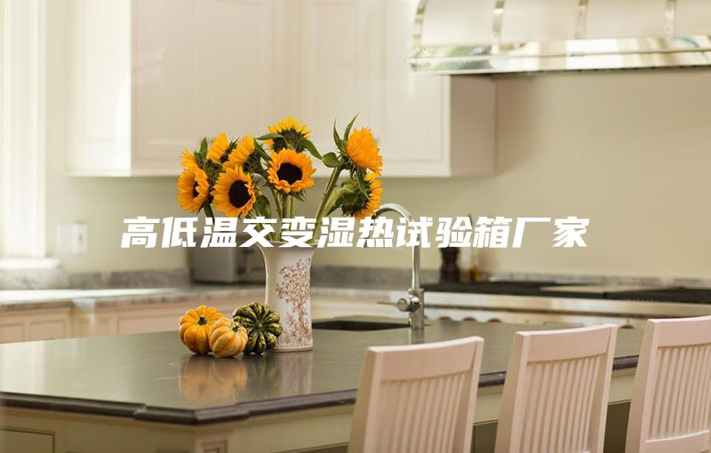 高低溫交變濕熱試驗(yàn)箱廠(chǎng)家