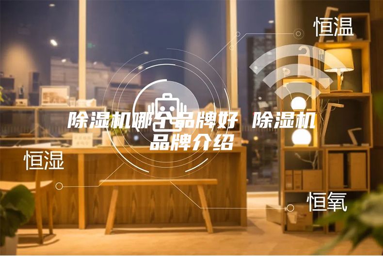 除濕機(jī)哪個品牌好 除濕機(jī)品牌介紹
