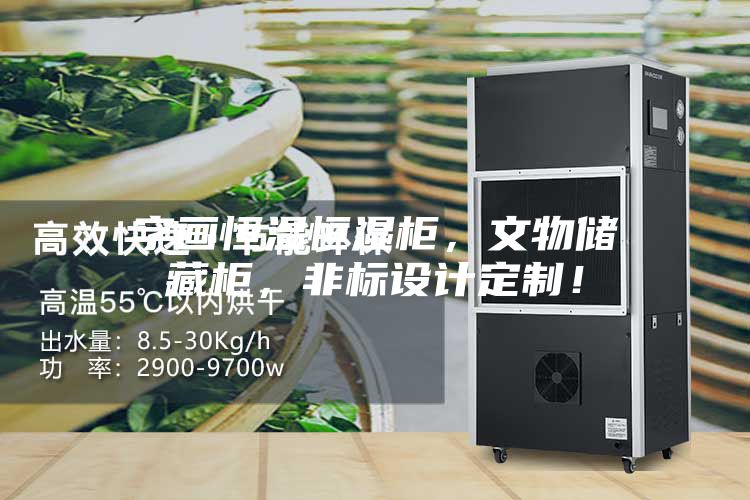 字畫(huà)恒溫恒濕柜，文物儲(chǔ)藏柜，非標(biāo)設(shè)計(jì)定制！