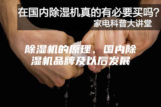 除濕機(jī)的原理、國(guó)內(nèi)除濕機(jī)品牌及以后發(fā)展