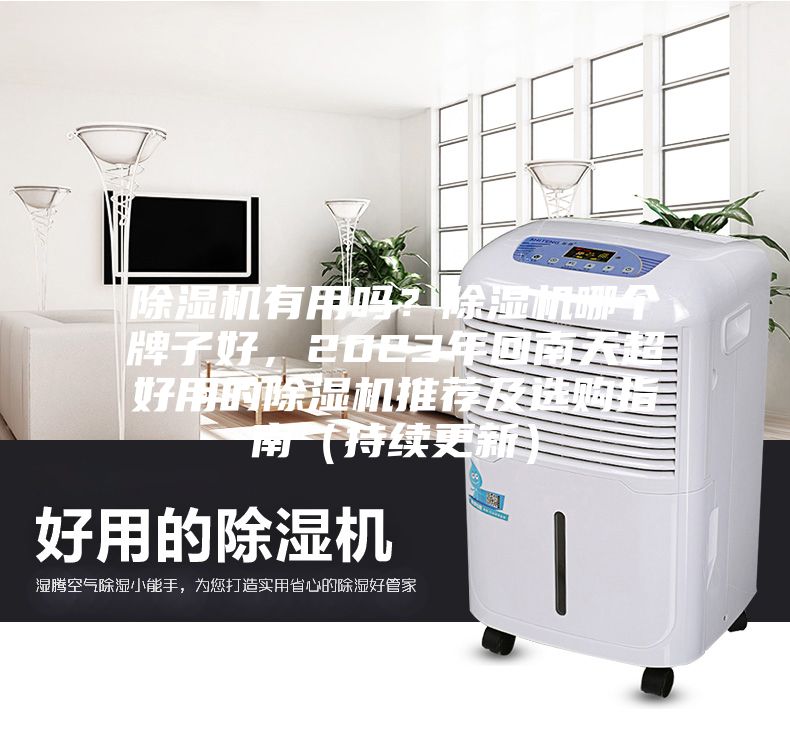 除濕機(jī)有用嗎？除濕機(jī)哪個牌子好，2023年回南天超好用的除濕機(jī)推薦及選購指南（持續(xù)更新）