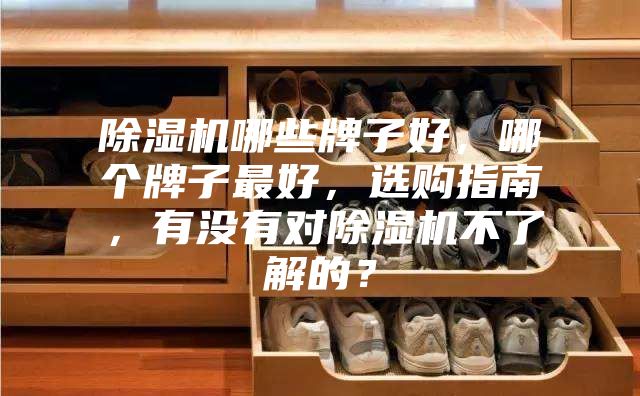 除濕機哪些牌子好，哪個牌子最好，選購指南，有沒有對除濕機不了解的？