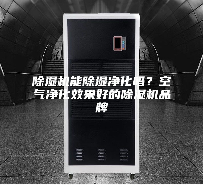 除濕機(jī)能除濕凈化嗎？空氣凈化效果好的除濕機(jī)品牌
